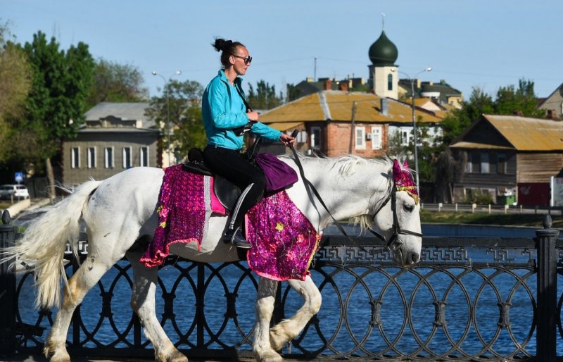 АСТРАХАНЬ. Мария Пермякова предложила перенести катание на лошадях из центра Астрахани