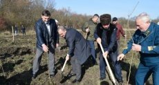 ЧЕЧНЯ.  Чечня участвует во Всероссийской акции «Сохраним лес»
