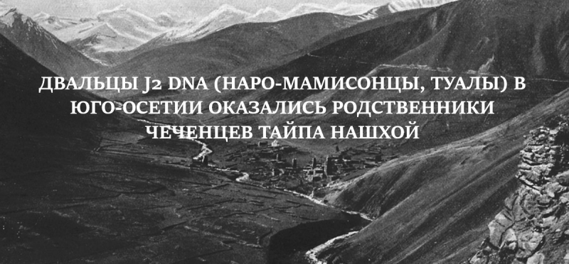 ЧЕЧНЯ. Двальцы (Туалы) Южной Осетии родственники чеченцев?