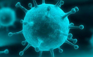 ЧЕЧНЯ. Эпидемиологическая ситуация в ЧР по гриппу и острым респираторным вирусным инфекциям