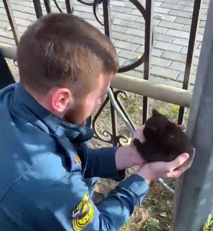 ЧЕЧНЯ. Пожарные из Грозного спасли застрявшего в фонарном столбе котёнка (видео)