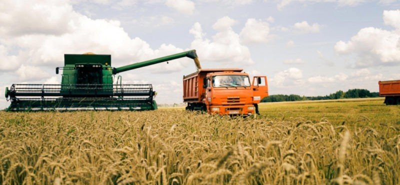ЧЕЧНЯ. За 9 месяцев 2021 года объем сельхозпродукции в республике вырос на 1,5%
