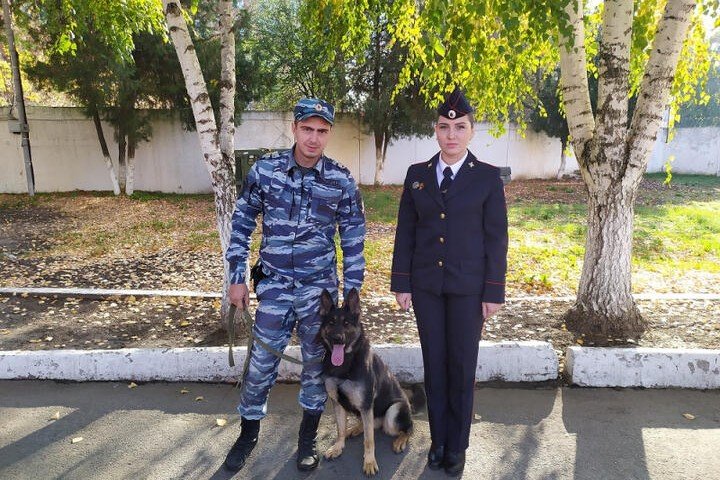 КРАСНОДАР. В Усть-Лабинске служебный пес разыскал пропавшую женщину