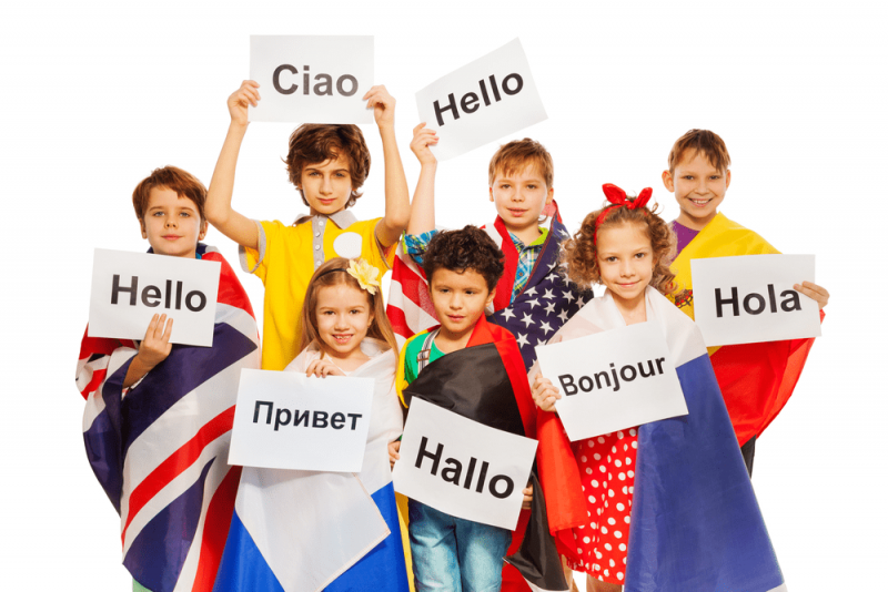 СТАВРОПОЛЬЕ. На Северном Кавказе откроется первая на Юге России Школа языков мира