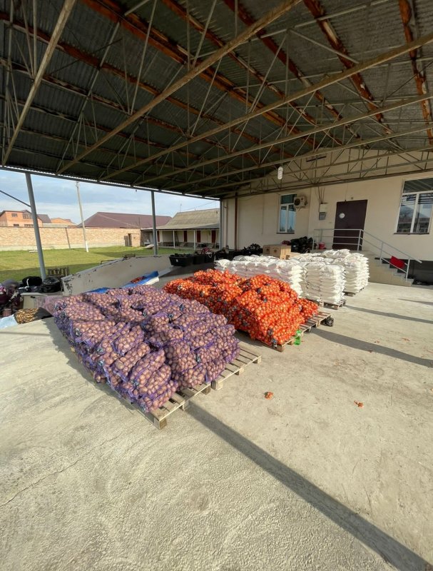 ЧЕЧНЯ. 750 малоимущих семей региона получили продуктовые наборы от организации "Хайра"