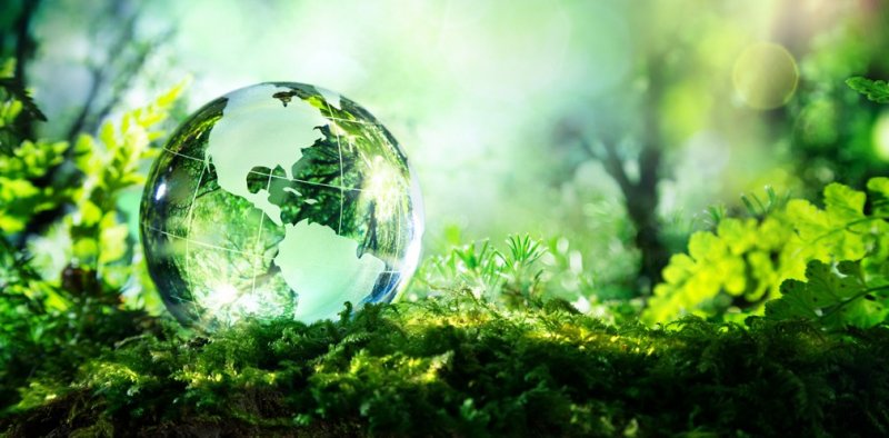 ЧЕЧНЯ. Россельхозбанк объявил о создании Фонда «Экология» для поддержки устойчивого развития АПК