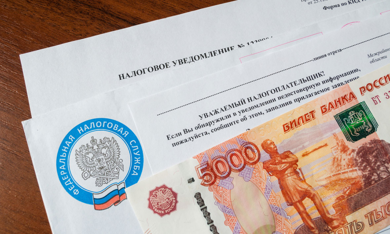 ЧЕЧНЯ. В Чеченской Республике запустили челлендж «В Новый год без долгов»