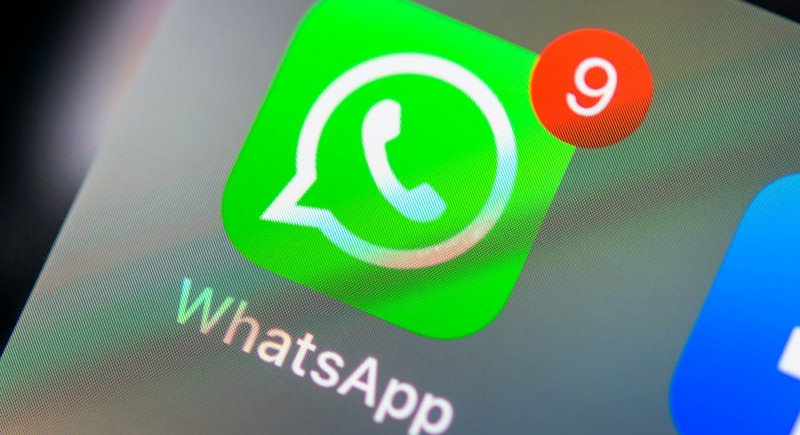 ЧЕЧНЯ. В WhatsApp появится функция по созданию собственных стикеров