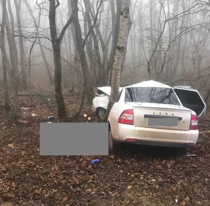 СТАВРОПОЛЬЕ. В Ставрополе 41-летний мужчина врезался в дерево и погиб на месте