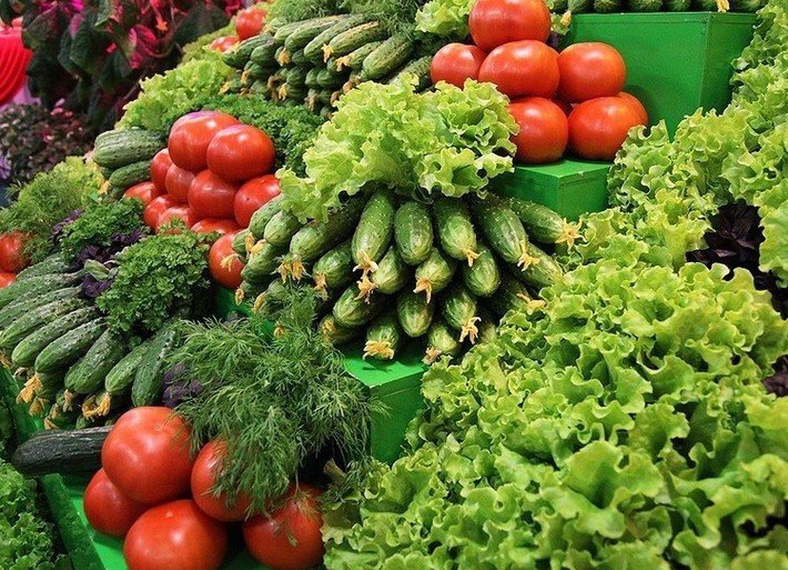 ЧЕЧНЯ. Чеченские аграрии собрали свыше 50 тысяч тонн овощей