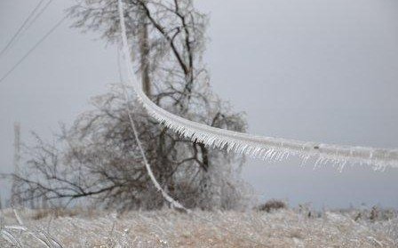 КАЛМЫКИЯ. В ряде районов Калмыкии ожидаются сильные гололедно-изморозевые отложения