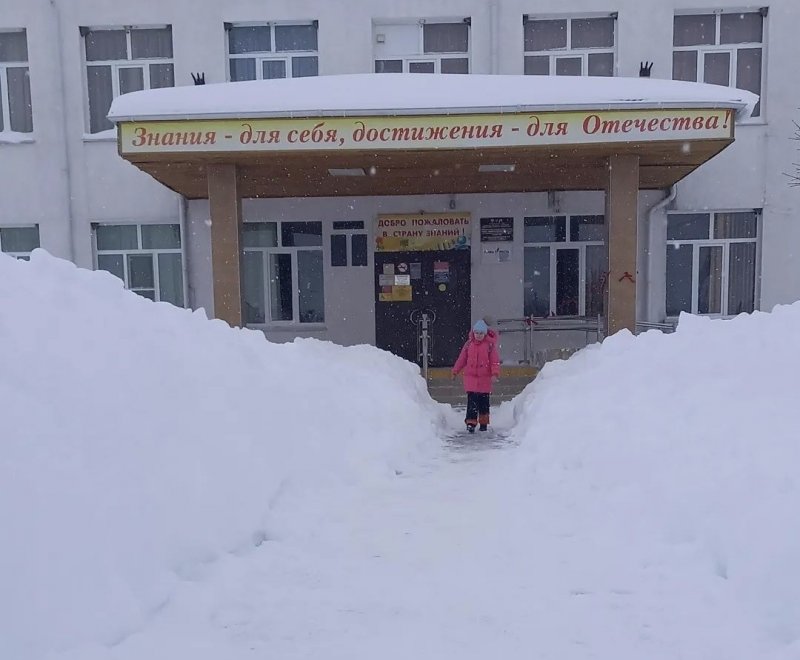 КРАСНОДАР. 25 января в школах Крымского района объявили выходным