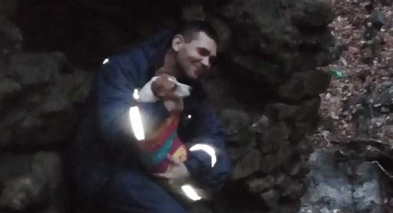 КРЫМ. Сотрудники ГКУ РК "КРЫМ-СПАС" спасли собаку, провалившуюся в заброшенный каптаж