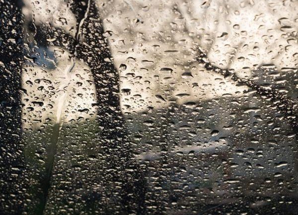 РОСТОВ. Дожди и плюсовая температура ожидаются в Волгодонске в первую рабочую неделю февраля