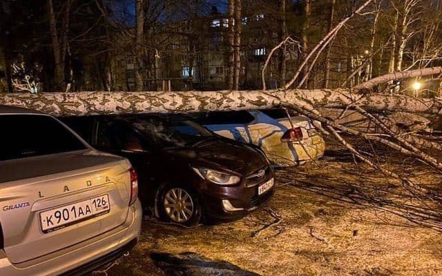 СТАРОПОЛЬЕ. На Ставрополье ликвидируют последствия бешеного урагана