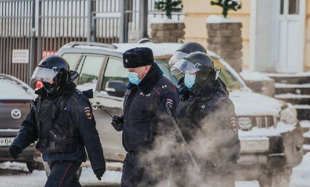 В Забайкалье возбудили дело из-за гибели девочки от нападения собак