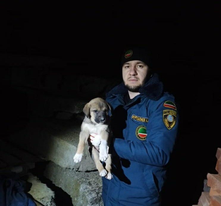 ЧЕЧНЯ. Чеченские спасатели вытащили щенка из бетонного плена