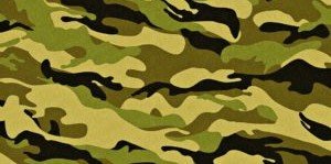 КЧР. В военкоматах КЧР началась постановка призывников на учет