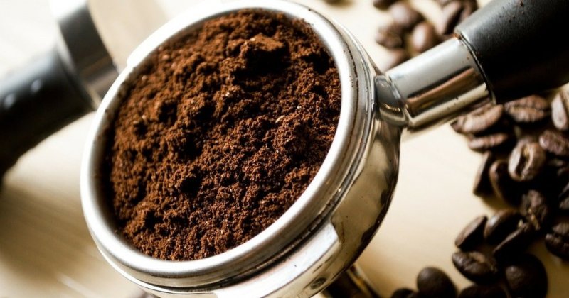 Молотый кофе может влиять на продолжительность жизни