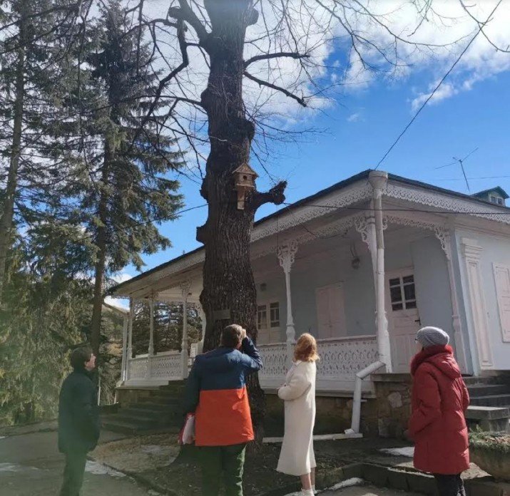 СТАВРОПОЛЬЕ. Кисловодск присоединился к акции "Мемориальные деревья России"
