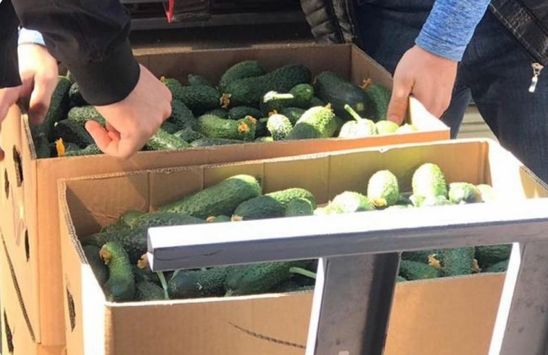 В сумке 5 килограмм овощей. Овощи на чеченском.