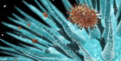 В Мировом океане найдено почти 200 тысяч видов морских вирусов