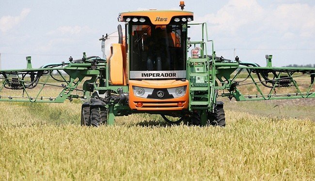 КРАСНОДАР. В Краснодарском крае готовятся начать уборку пшеницы и ячменя