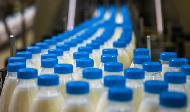 СТАВРОПОЛЬЕ. Прирост производства молока на Ставрополье по итогам года составит 12,5 тыс. тонн