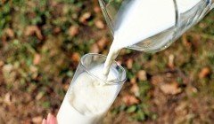 СТАВРОПОЛЬЕ. На Ставрополье увеличилось производство молока