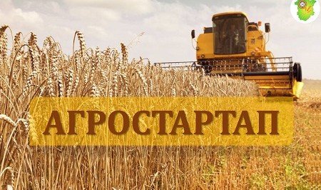 ЧЕЧНЯ. Завершился очередной этап мероприятия «Агростартап»