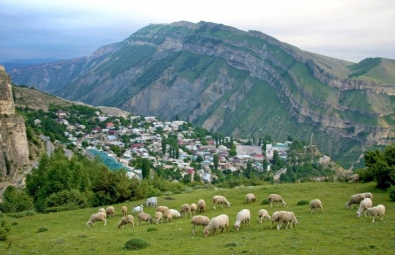 ДАГЕСТАН. Дни Дагестана в Совете Федерации: аграрно-продовольственная программа