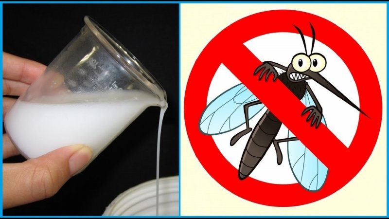 Десять надежных способов защититься от комаров
