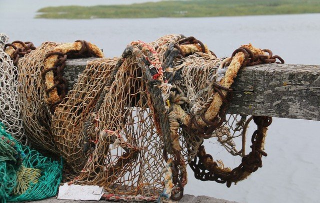 КРЫМ. Предприятие в Феодосии отравило в реке рыбы на 1,4 миллиона рублей